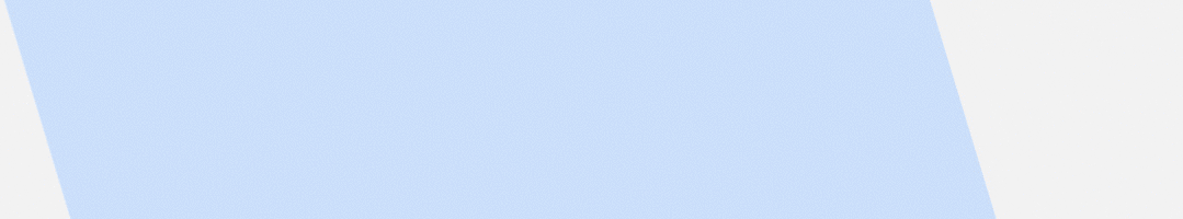 Momenta Ban.gif